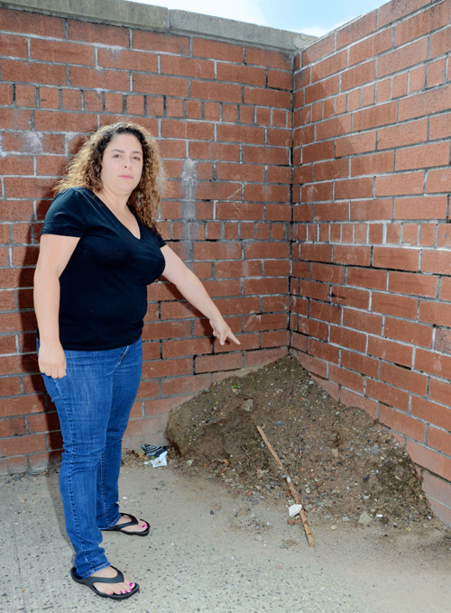 Rat-astrophy! Rodents run wild near arena, neighbors say