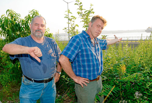 Ridge gardeners: Build a wall to protect green space from highway noise