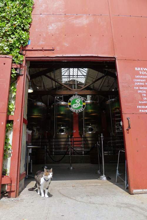 Pour one out: Brooklyn Brewery cat Monster dead at 13
