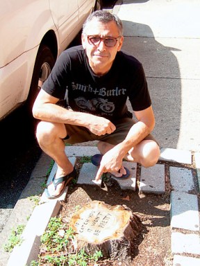 Stump speech! Angry Carroll Gardens man fights dog poop with message