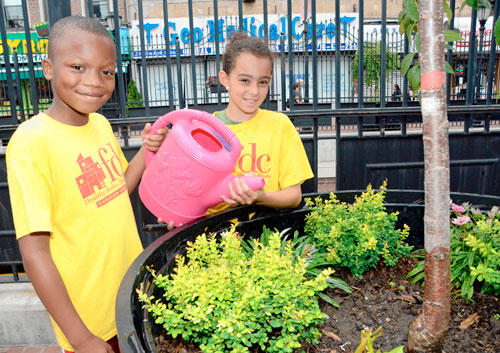 Ditmas Park dominates ‘greenest’ block competition
