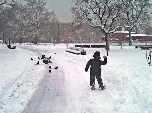 Cracked ice! No skating in McCarren or Prospect parks this winter