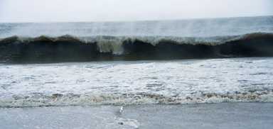 IT’S A BROOKLYN CYCLONE: The borough’s definitive Hurricane Sandy liveblog