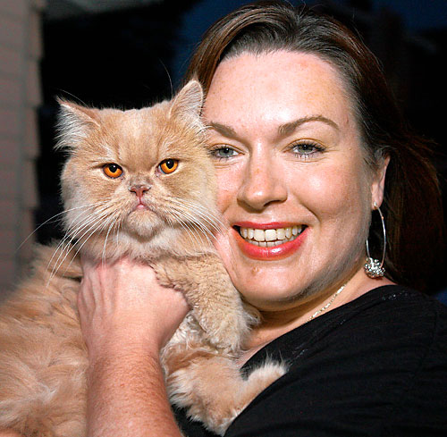 Simba’s back! Wandering Persian returns home