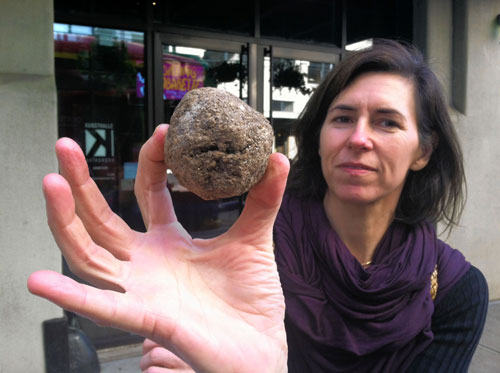 Mudslinging muckrakers! Dirt balls could clean Gowanus, eco-activists say