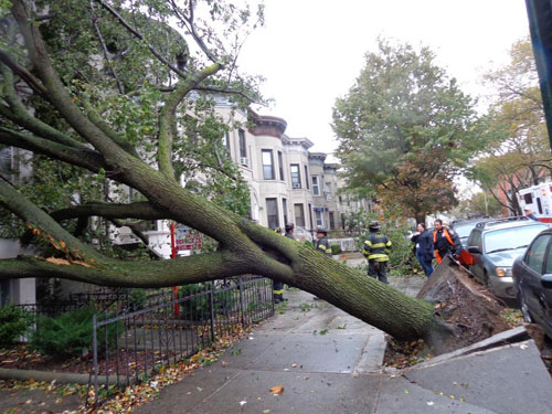IT’S A BROOKLYN CYCLONE: The borough’s definitive Hurricane Sandy liveblog