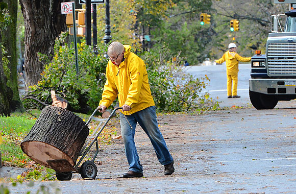 Snapshots of Sandy