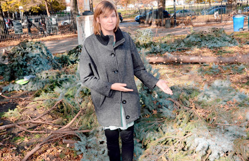 Did Sandy take down a tree planted by Geraldo Riveria?