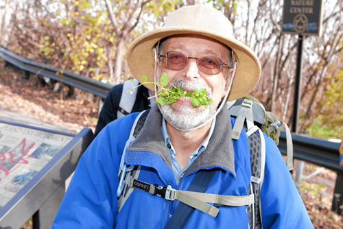 Foraging fun! ‘Wildman’ Steve Brill hunts for wild carrots in Marine Park