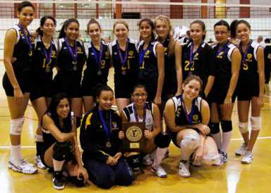 Tigers roar! Fort Hamilton nets city volleyball crown