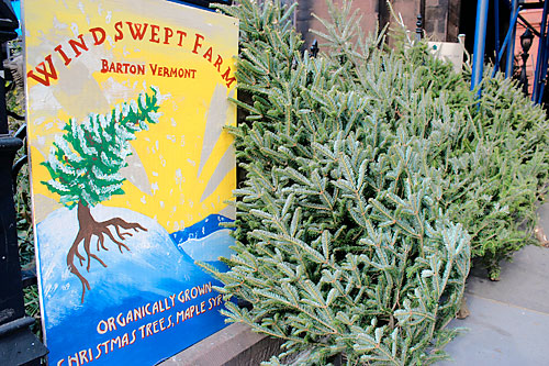 Oh Christmas tree, how organic are your branches?