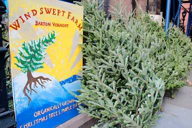 Oh Christmas tree, how organic are your branches?