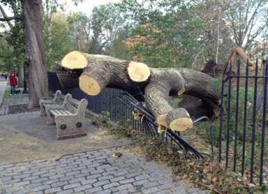 Prospect Park reopens, more trains coming back on track