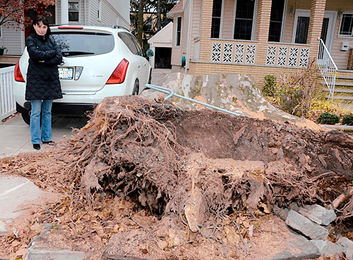 Stumped! Ridge family unable to use driveway since Sandy