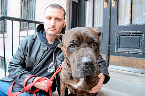 Is he your spirit animal? Prospect Park’s feral Ghost Dog up for adoption