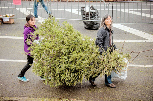 It’s that time of year again when Brooklynites make their own mulch