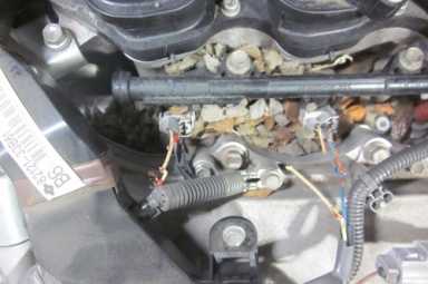 Rats raid roadsters