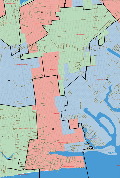 Not a nice slice! Orthodox Jews fear severing Midwood council district will hurt