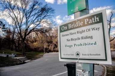 Woof vs. hoof! Dog and pony showdown in Prospect Park