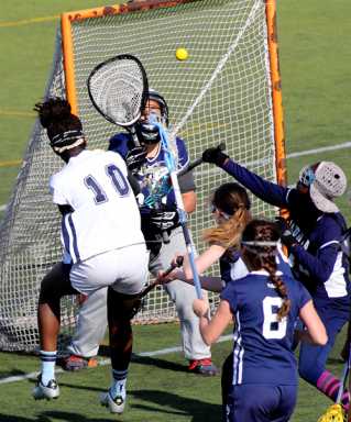 Hornets sting Dolphins at Aviator