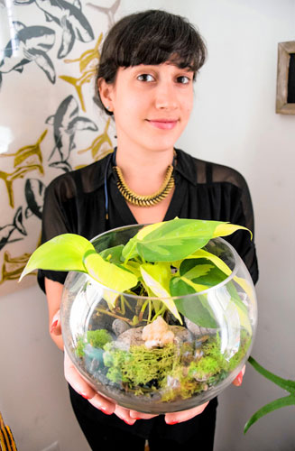 Woodlands for walkups: Liven up your apartment at terrarium building class