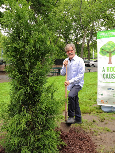 Geraldo Rivera replaces beloved tree in McCarren Park