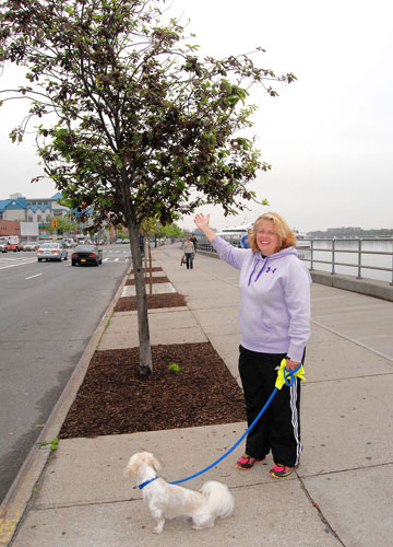 Emmons Ave. 10-year-long face lift nears completion