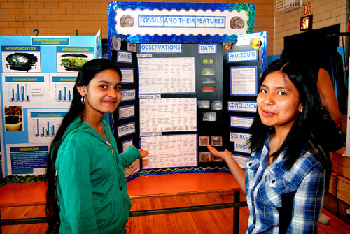 Marine Park kids excel in science fair