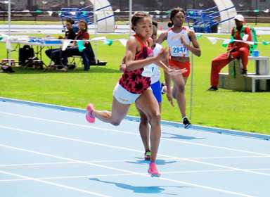 Medgar Evers, Jefferson claim city outdoor track titles