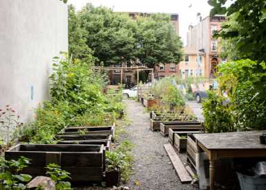 Bill would help turn vacant lots into parks, gardens