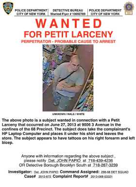 Cops hunt thieves in Bay Ridge