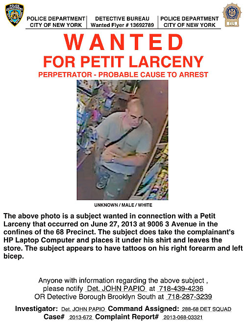 Cops hunt thieves in Bay Ridge