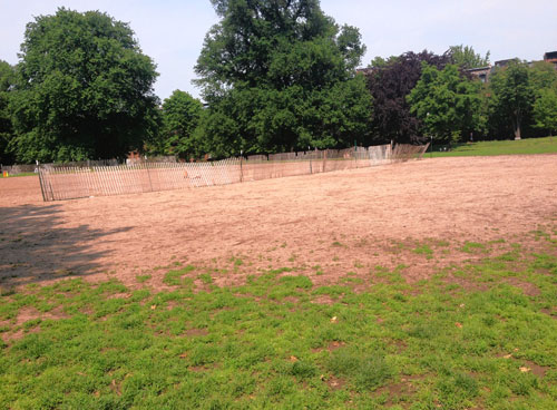 Group starts petition to turn Fort Greene dust bowl into grass-covered soccer field