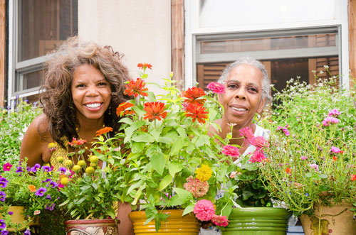 Sterling Street has the Greenest Block in Brooklyn