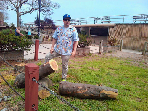 Man vows to stop deadly trees