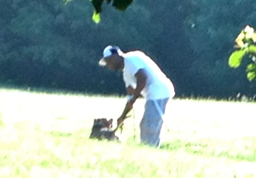 Alleged Prospect Park serial dog attacker out of jail