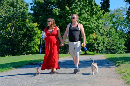 Phew! Dog lovers breathe sigh of relief after Monday arrest of suspected serial dog attacker