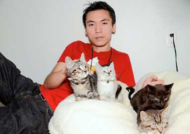 Pussy galore! Subway kittens to test cuteness online!