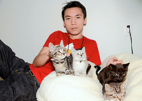 Pussy galore! Subway kittens to test cuteness online!