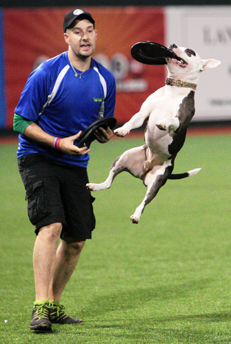 Diamond dogs! Cyclones fans get to bring pups to park