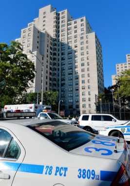 Man jumps 20 stories to his death from roof of Gowanus housing project: Cops