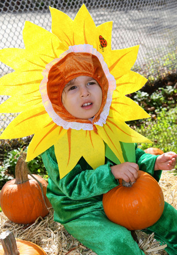 Marine Park Halloween Walk canceled!