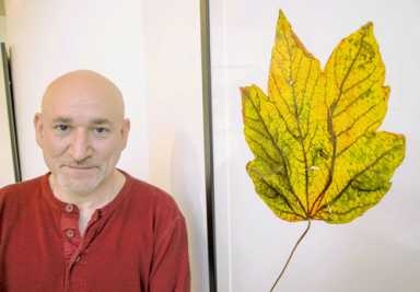 Leafy scenes: A photographer turns local foliage into art