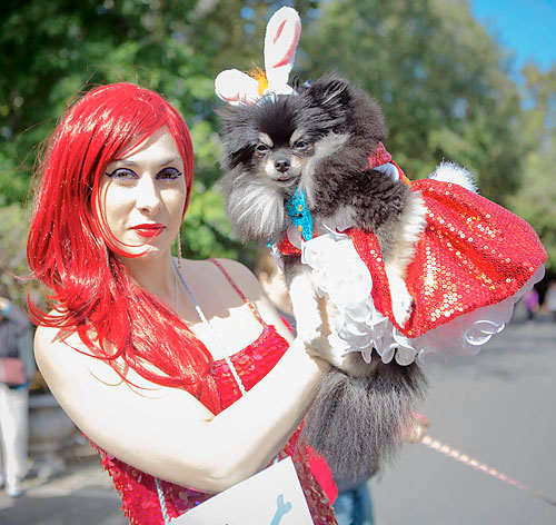 Autumn harvest! Narrows Botanical Garden celebrates season with pups and pumpkins