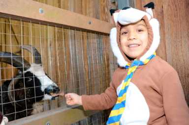 Costumed kids pack Prospect Park Zoo for spooky Halloween blowout