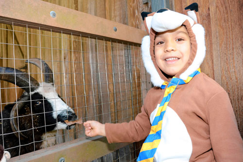 Costumed kids pack Prospect Park Zoo for spooky Halloween blowout