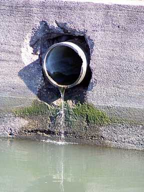 Feds may watch the Gowanus Canal’s waste line