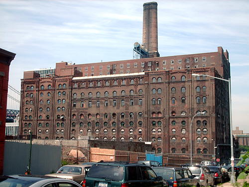 A sweet future for sugar plant