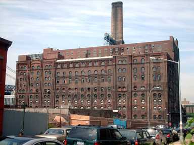 A sweet future for sugar plant
