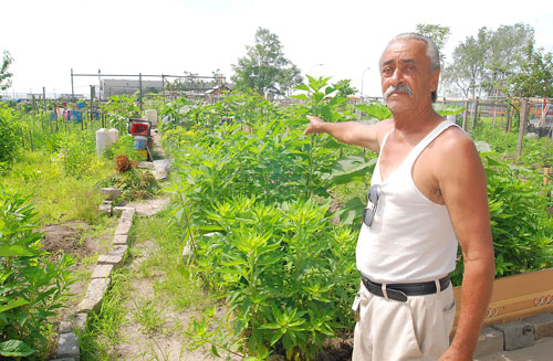 Beep’s Coney amphitheater plan threatens community garden